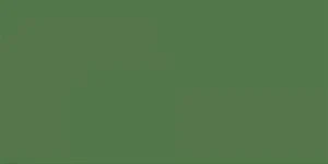 Caran d'Ache Luminance 6901® Colour Pencils - Brown or Green - Image 15