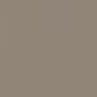 Caran d'Ache Neocolor II - Brown or Green - Image 6