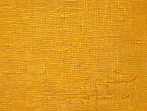 Gamblin Artist's Oil Colors - White or Yellow - Image 24