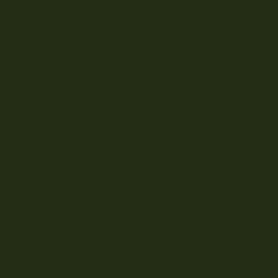 GOLDEN Fluid Acrylics - Brown or Green - Image 42