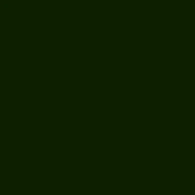 GOLDEN Fluid Acrylics - Brown or Green - Image 45