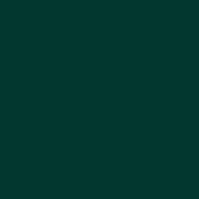 GOLDEN Fluid Acrylics - Brown or Green - Image 52