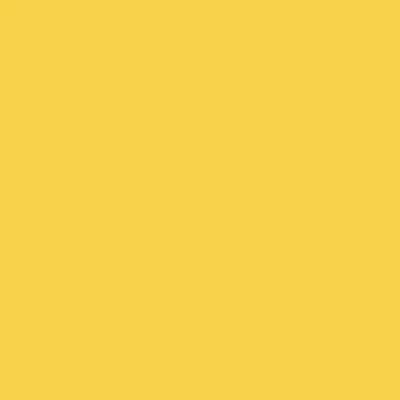 GOLDEN Fluid Acrylics - White or Yellow - Image 24