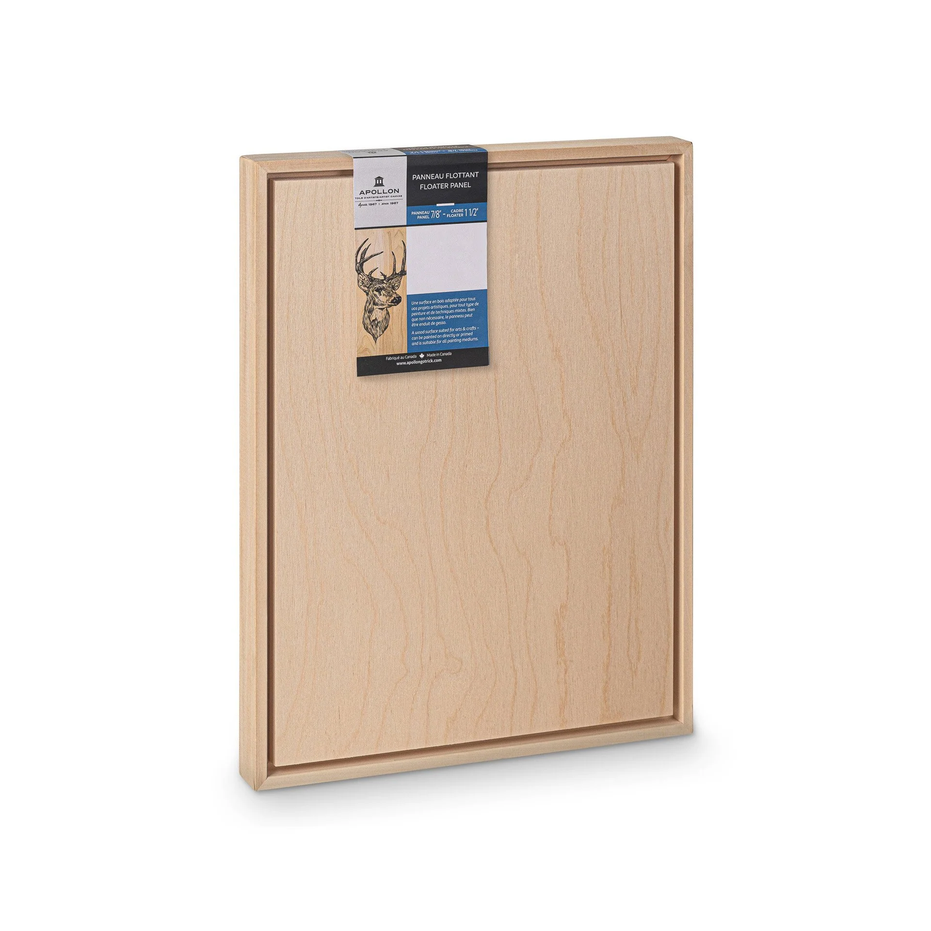 Apollon Gotrick Floater Frame & Panel - Image 4