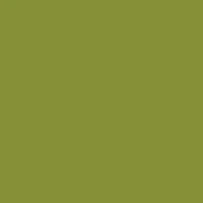 Jacquard Procion MX Dyes - Image 27