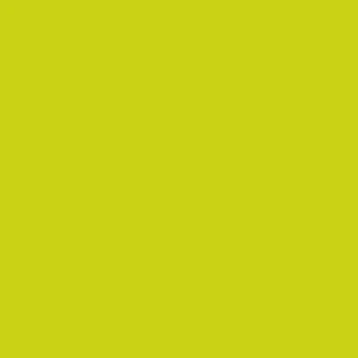 Montana BLACK Spray Paints - Brown or Green - Clearance - Image 12