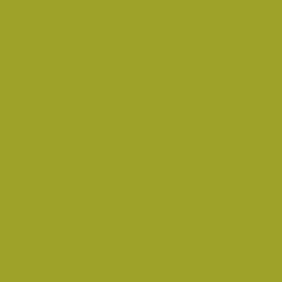 Montana BLACK Spray Paints - Brown or Green - Clearance - Image 14
