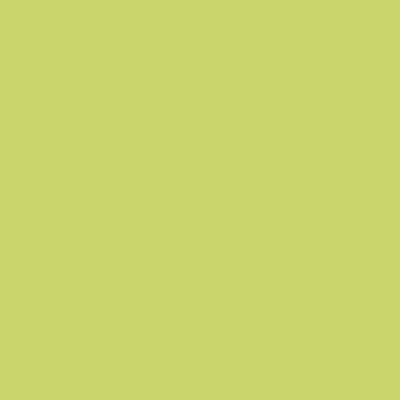 Montana BLACK Spray Paints - Brown or Green - Clearance - Image 15