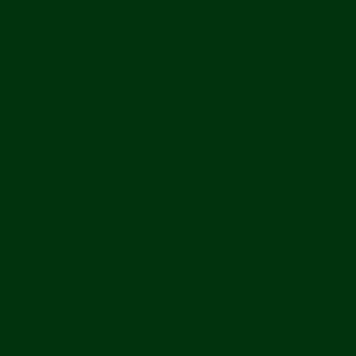 Montana BLACK Spray Paints - Brown or Green - Clearance - Image 19