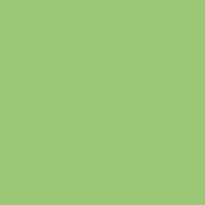 Montana BLACK Spray Paints - Brown or Green - Clearance - Image 23