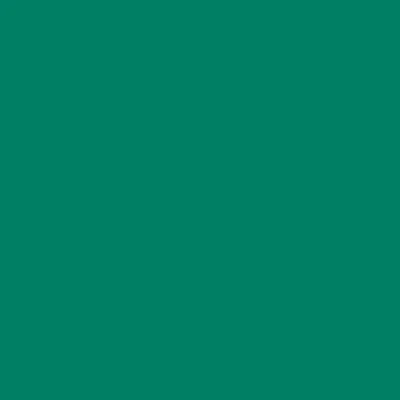 Montana BLACK Spray Paints - Brown or Green - Clearance - Image 25