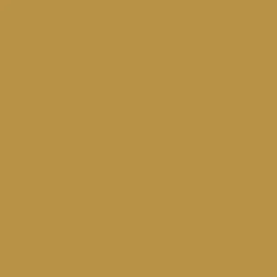 Montana BLACK Spray Paints - Brown or Green - Clearance - Image 26