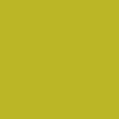 Montana BLACK Spray Paints - Brown or Green - Clearance - Image 5