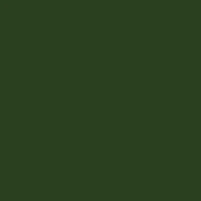 Montana BLACK Spray Paints - Brown or Green - Clearance - Image 7