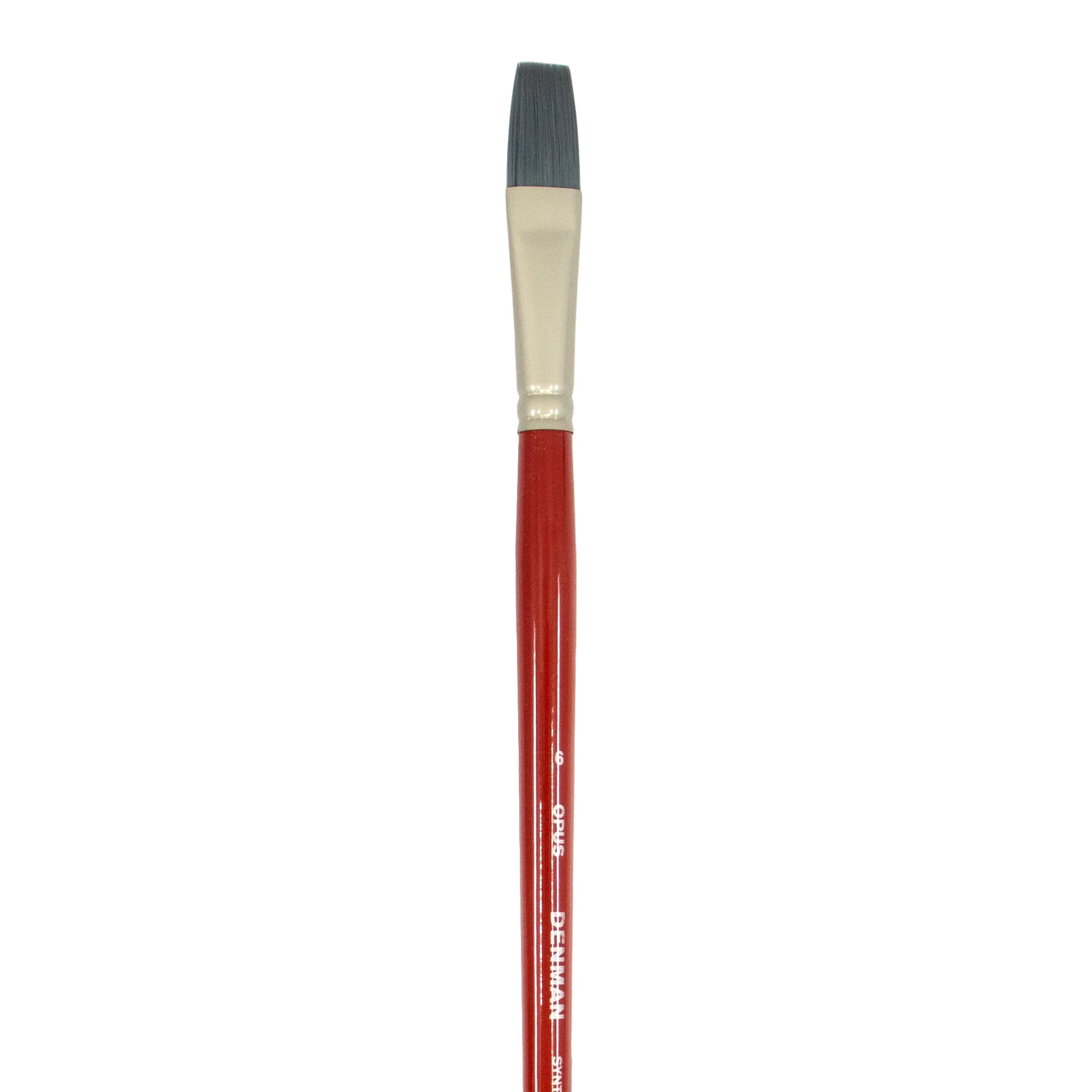 Opus Denman Long Handle Brushes - Image 5